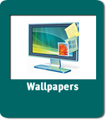 Wallpapers to brighten up your computer